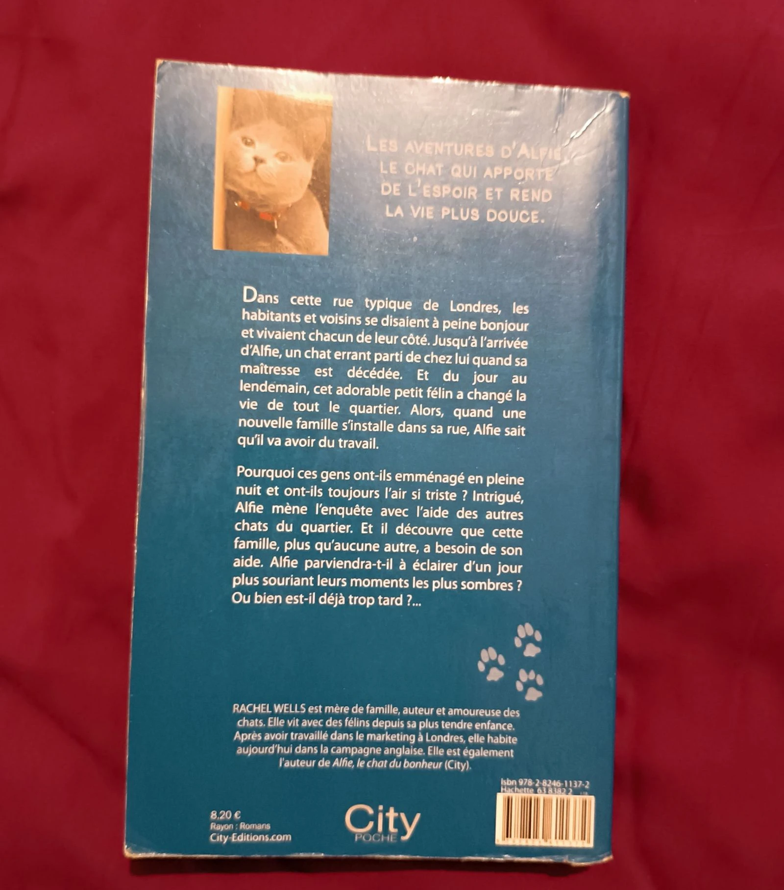 Book Alfie a friend for life – photo 2